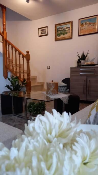 Casa Joana Villa Canyelles  Eksteriør bilde